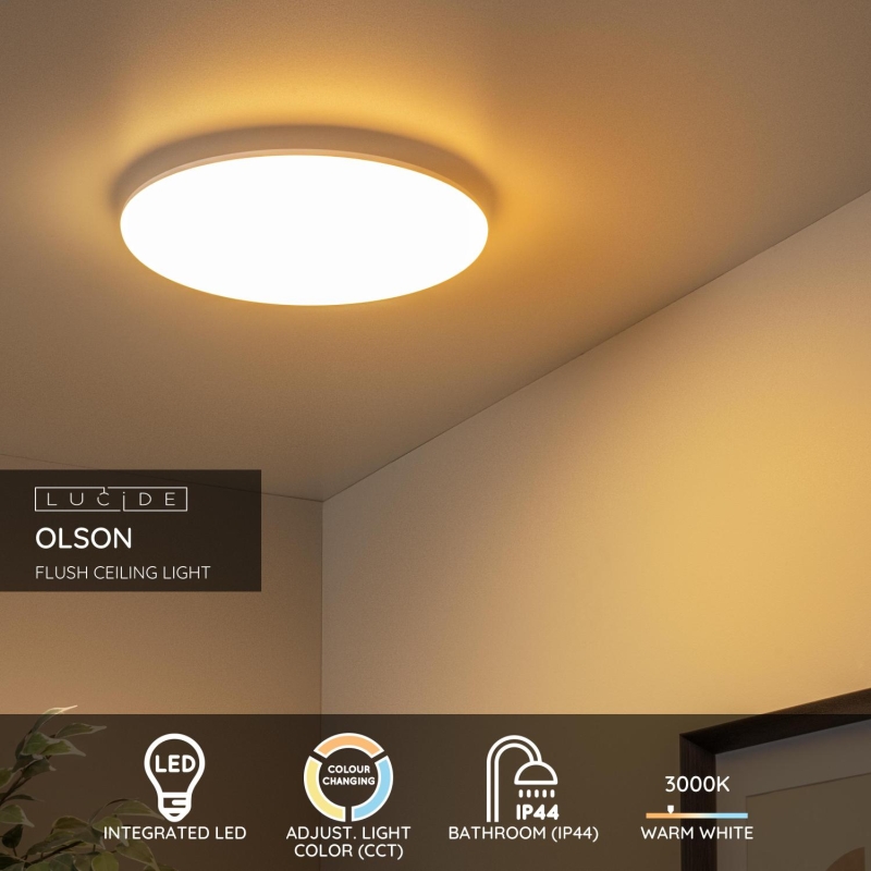 Lucide OLSON - Flush ceiling light Bathroom - Ø 35 cm - LED - CCT - 1x36W 3000K/6500K - IP44 - Opal